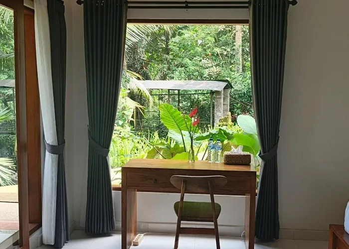 Cacao * Ubud