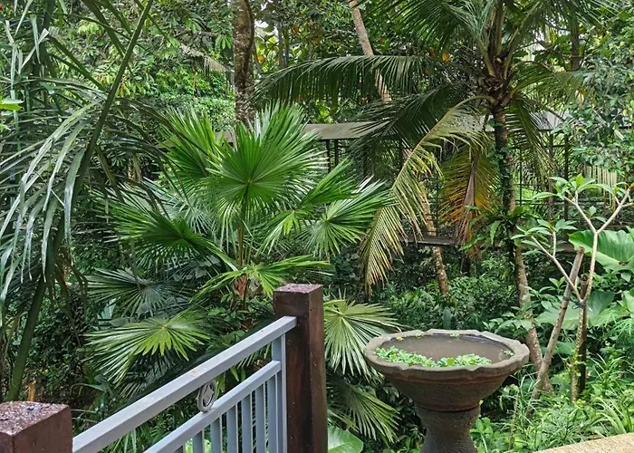 Cacao Habitación en casa particular