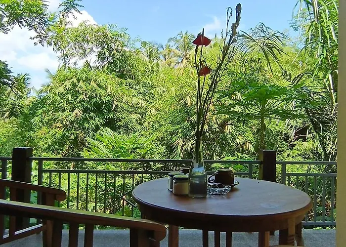 Cacao Ubud